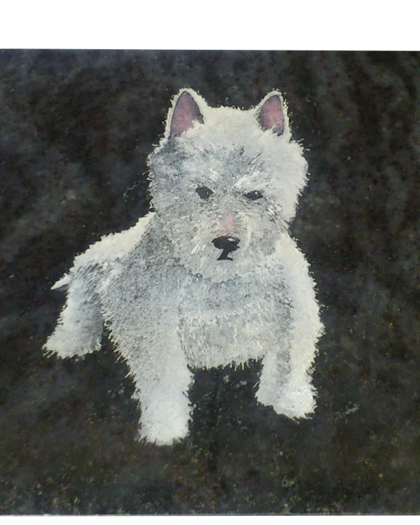 Scotty